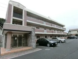 アルファマの画像