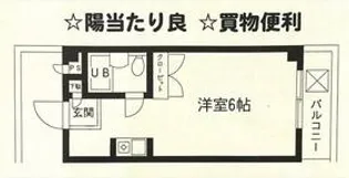 大成ビル【207号室】の間取り