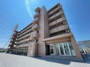 Y&MドリームIIIの画像