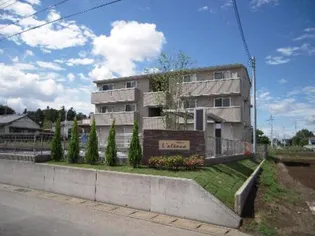 アルターナの画像