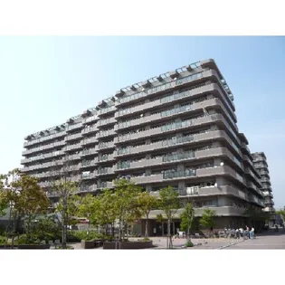 ディオ フェルティ豊中 服部の画像