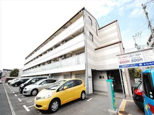 カーサドマー二の画像