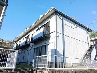 アコールスワBの画像