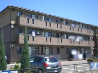 岐阜県岐阜市薮田南3丁目【アパート】の外観