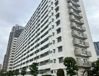 シティコープ豊洲の画像