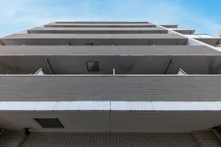 ロアール大山の画像