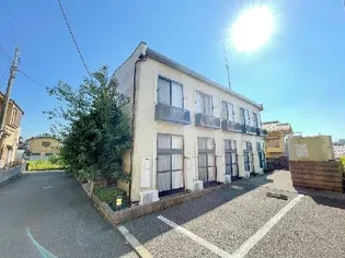 シャルマンの画像