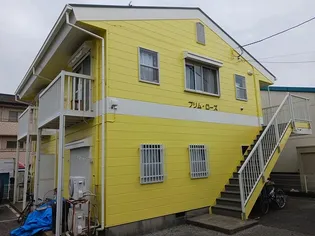 プリムローズの画像