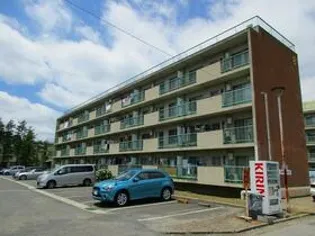 辰巳東ハイツB棟の画像