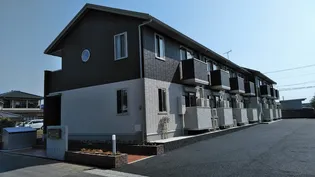 ヴィーヴルの画像