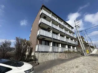 愛知県岡崎市菅生町字深沢【マンション】の外観