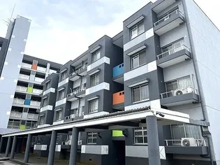 テレパレス船橋三咲B棟の画像