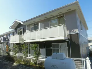 サンフラワーBの画像