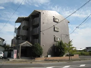 スターライトMの画像