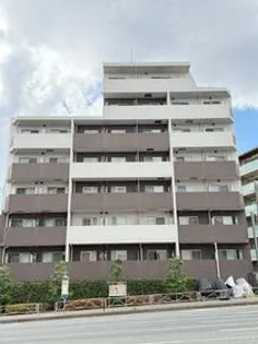 HY'S DURANTEの画像