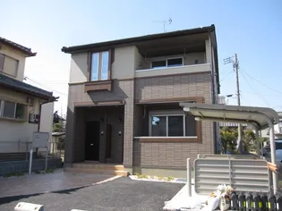 グレイスファーの画像