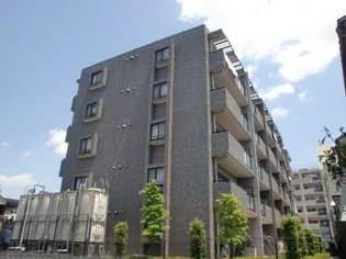 エクセレント ティアの画像