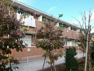 カサブランカ シックスの画像