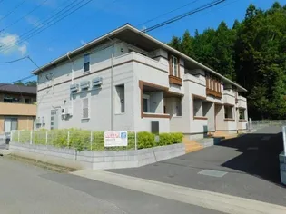 ヴィタ ドルチェの画像