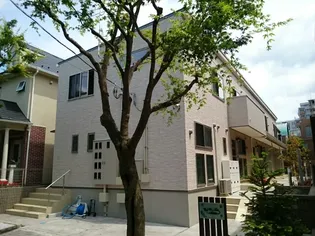 ヌイカマナの画像