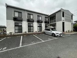 あすなろの画像