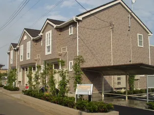 プラシードの画像