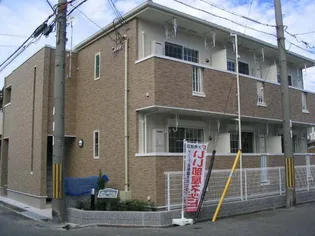 シス アムールの画像