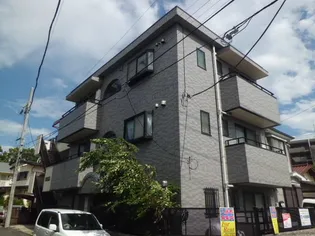 セントラルフォレストの画像