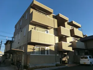 フリージアの画像