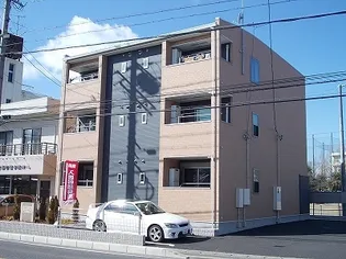 スクールヤード シノギの画像