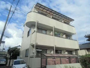 モンテベルデ小鹿の画像