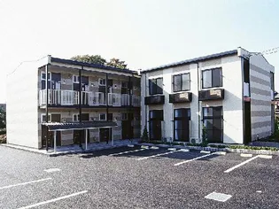 ノヴェルの画像