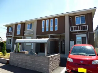 フィデールの画像