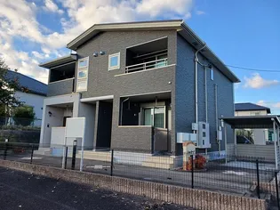 サニースポット Mの画像