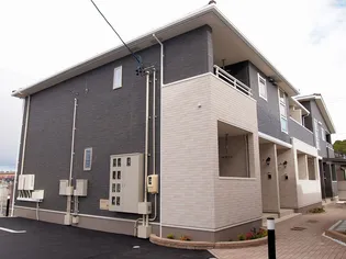 サン フローラMPの画像