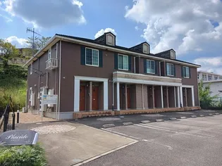 プラシードの画像