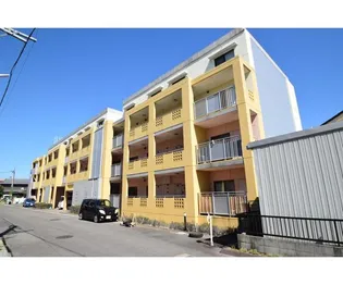 リオラードの画像