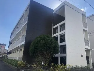 レオパレスアネックス2大橋の画像