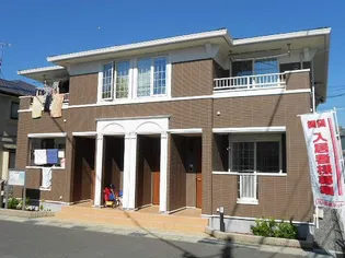 ベルフィオーレの画像