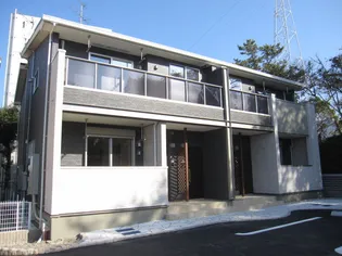 ルピナスの画像