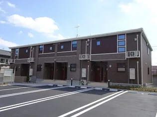 セロシア アルゲンテアの画像