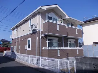 サン シャインの画像