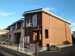 ヴィオラの画像