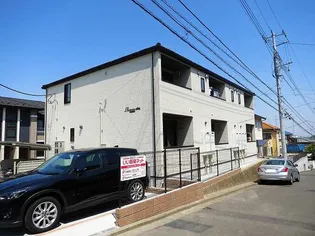 プルメリアの画像