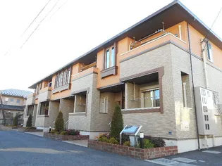 タートルクレインの画像