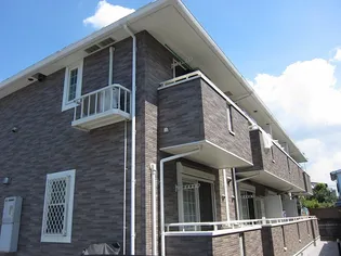 サンパティーク レイの画像