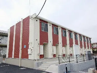 レオネクストカンパニュラの画像