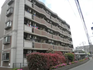 スヴニールの画像