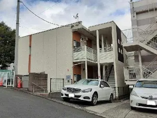 レオネクストヴィセオの画像