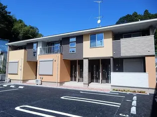 オレンジ サンシャインの画像